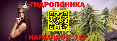 мет Кимры