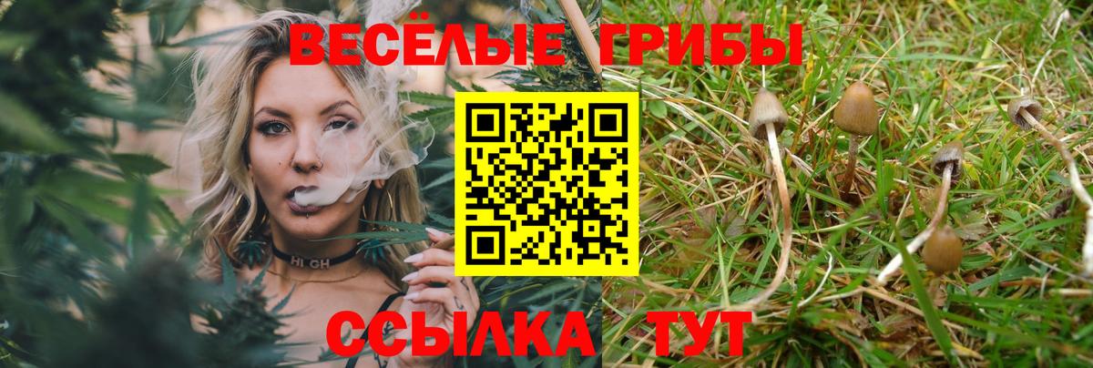 Галлюциногенные грибы GOLDEN TEACHER Ярославль