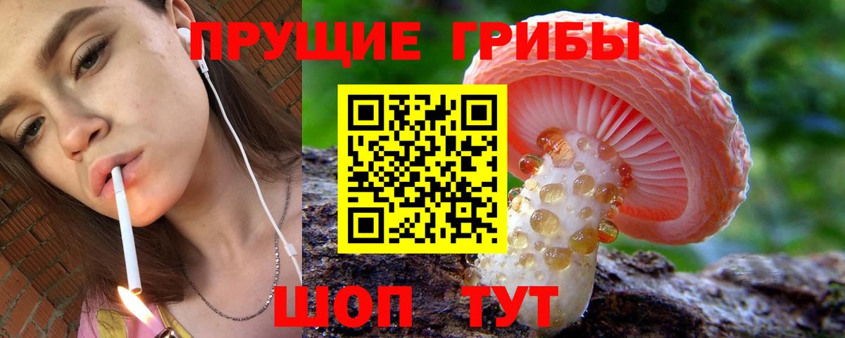 Ярославль  Галлюциногенные грибы Cubensis  Псилоцибиновые грибы Cubensis  Вход с VPN 